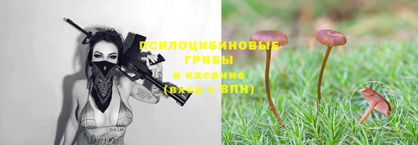 тгк Абинск