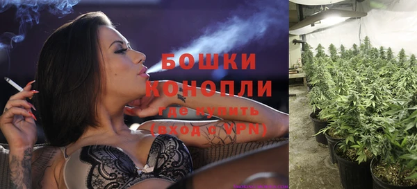 молекула духа Россошь