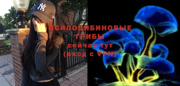тгк Абинск