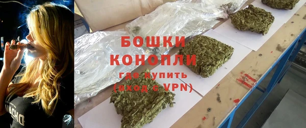 спайс Рославль