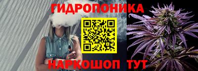 прущие грибы Усть-Илимск