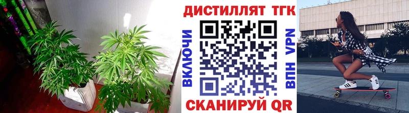 ТГК Wax Россошь