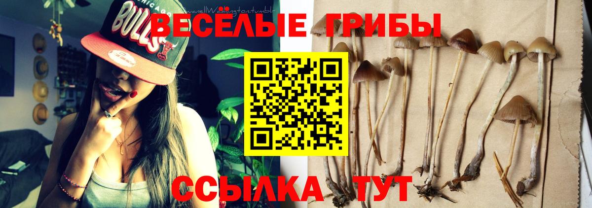 Галлюциногенные грибы Magic Shrooms  Псилоцибиновые грибы ЛСД  Вход с VPN  Россошь 
